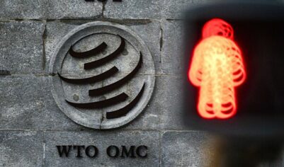 В Госдуму внесли законопроект о выходе из ВТО