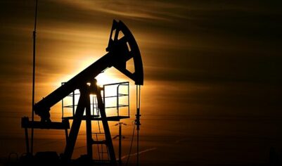 В Индии ответили на сообщения о прекращении закупок нефти у России