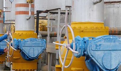 На Украине рассказали о наращивании закупок российского газа