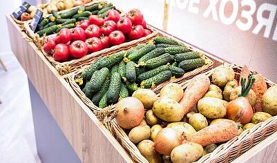 Продажи овощей в России упали