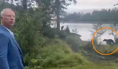 Дмитриев: Встреча с медведем на Аляске действительно была хорошим знаком