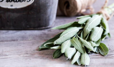 Какое растение мягко закрашивает седина и при это укрепляет волосы