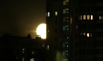 Гороскоп для всех знаков зодиака на 25 сентября 2025 года