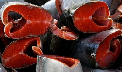 В России начали снижаться оптовые цены на красную рыбу