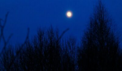 Гороскоп для всех знаков зодиака на 26 сентября 2025 года