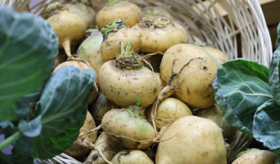 26 сентября: что можно и что нельзя делать