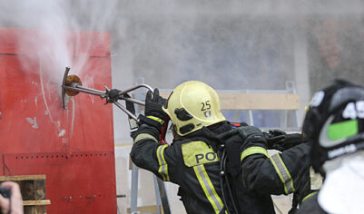 Восьмилетний актер и его брат погибли при пожаре