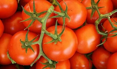 В России подорожали помидоры
