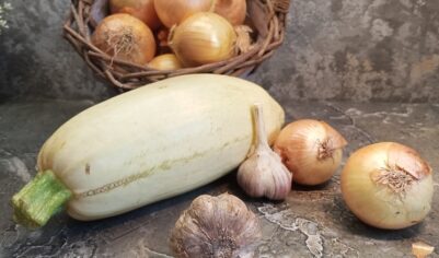 Лунный календарь садовода-огородника: Что делать на даче 27 сентября 2025 года