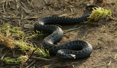 Что можно и что нельзя делать 25 сентября