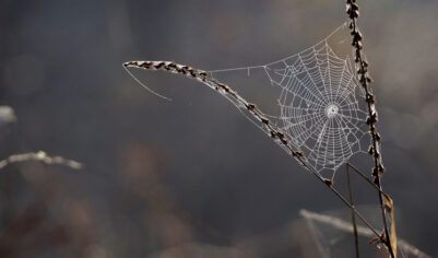 Гороскоп для всех знаков зодиака на 21 сентября 2025 года