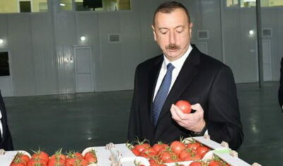Алиев потерял главный рынок: бакинские помидоры без России гниют на складах