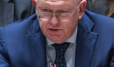 «Не занимайтесь «мегафонной дипломатией». Речь Небензи в ООН разозлила польских политиков