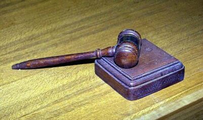 Немолодые мужчины в Минске кормили оленя в зоопарке колой и дергали за рога