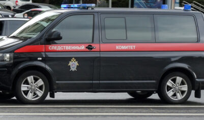 Ветеран СВО против подлога: Бастрыкина просят возбудить дело о подмене ребёнка