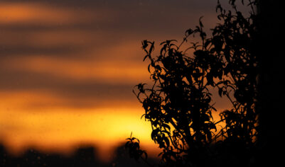 Гороскоп для всех знаков зодиака на 20 сентября 2025 года