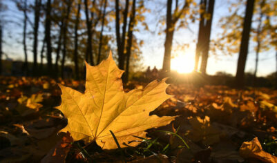 22 сентября — какой сегодня праздник? Что отмечают в этот день в России и мире