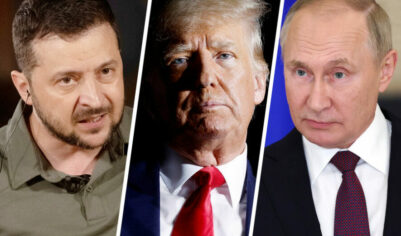 «Им нужно немного повоевать»: Трамп оценил вероятность встречи Путина и Зеленского