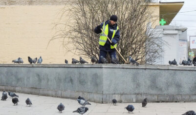 «Хотят больше денег»: каких специалистов в столице катастрофически не хватает и почему