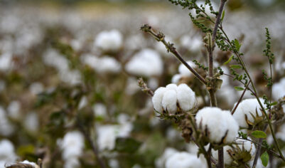 7 октября: какой сегодня праздник