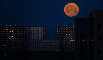 Гороскоп для всех знаков зодиака на 7 октября 2025 года