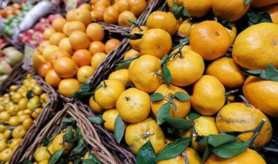 Соседняя республика увеличила поставки России мандаринов
