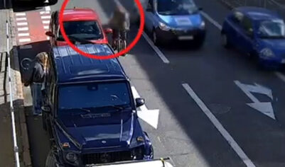 Синдром Резникова: очередной коррупционер вместо решетки избивает велосипедистов