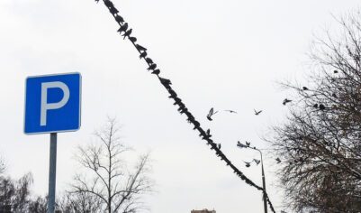 Столичные бизнес-центры начали сокращать количество паркингов: названа причина