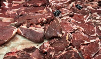 Россия бьет мировой рекорд по росту цен на говядину: названы причины подорожания