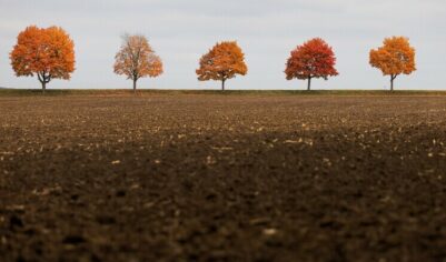 Гороскоп на 15 октября 2025 года