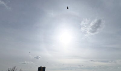 Гороскоп на 13 октября 2025 года