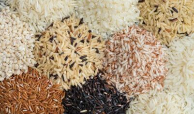 Рис рису рознь: 5 правил, как выбрать сорт крупы под разные задачи