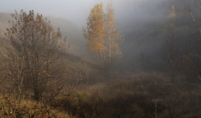 Что можно, а что нельзя делать 29 октября в День Лонгина Сотника