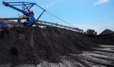 Уголь раздора: сможет ли Россия изменить ситуацию на рынке