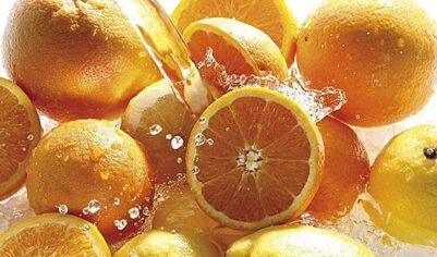 В России упали цены на апельсины
