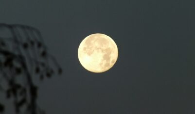 Гороскоп на 21 октября 2025 года