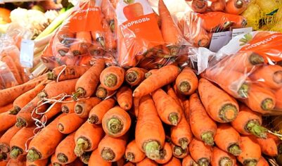 В России снизились цены на морковь и картофель