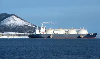 «Ослепительная свобода» Европы: удастся ли ЕС отказаться от нефти и газа из России