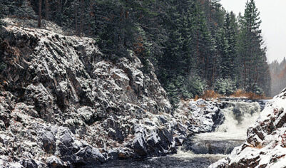 СК: найденная в Карелии петербурженка могла стать жертвой телефонных афер