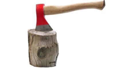 Трудовые лагеря для поколения TikTok