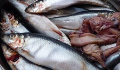 Селедка как зеркало нашего рынка
