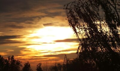 31 октября: что можно и что нельзя делать в Луков день