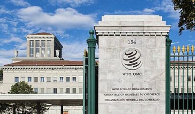 ВТО испугалась за мировую торговлю и сделала мрачный прогноз