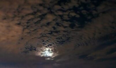 Гороскоп на 19 октября 2025 года