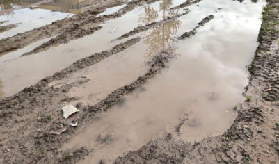Что можно, а что нельзя делать 27 октября на Параскеву Грязнуху