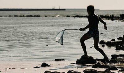 В Минпросвещения поставили точку в спорах о сокращении летних каникул