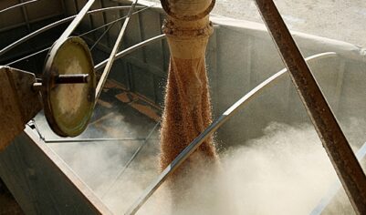 В Армении заявили начале поставок российской пшеницы в страну через Азербайджан