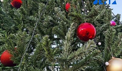 Две недели праздника: как россияне будут отдыхать на Новогодних каникулах