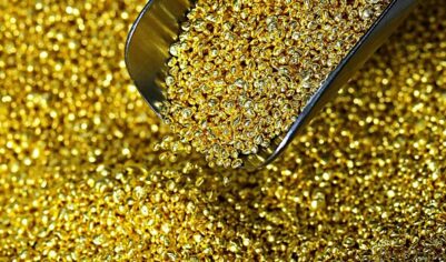 В Турции нашли крупное месторождение золота на 1,7 млрд долларов