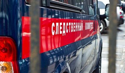 На Кубани подросток зарубил топором родную бабушку